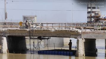 11406991_10206019169670804_7642743754530848987_n